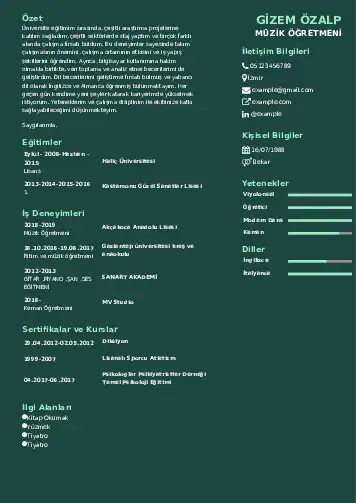 Müzik Öğretmeni Cv Örnekleri cv indir